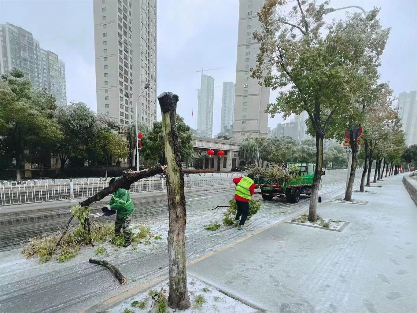 闻“雪”而动！ 武汉园林投入1500人处理道路绿化积雪