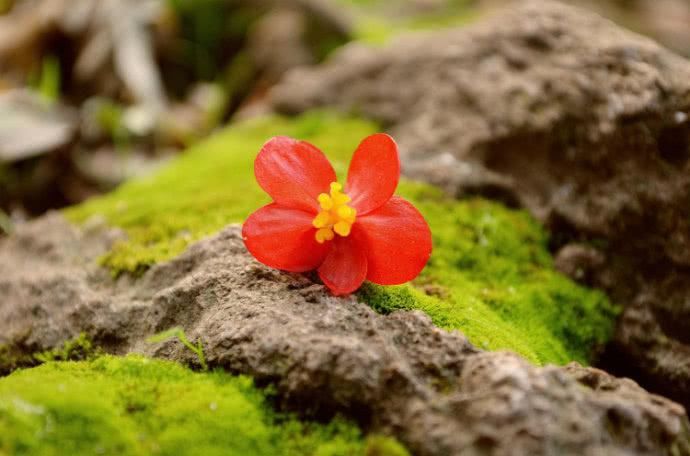  临时|一个人，好运来临时，往往有这3个表现，恭喜了！