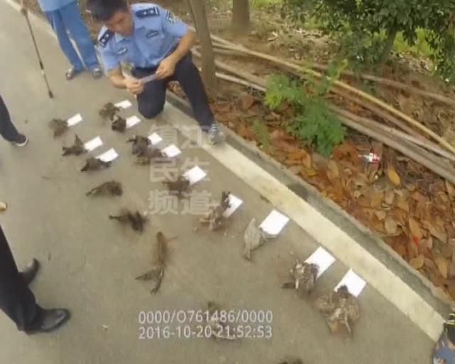 句容森林公安派出所|一下子猎杀了27个!