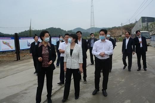 三季度|邱丽新到罗田县凤山镇调研三季度项目建设进度