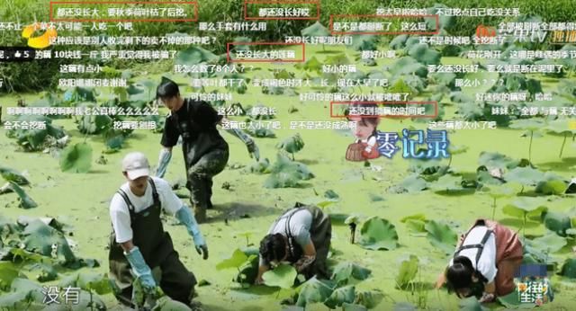  无奈|《向往的生活》嘉宾挖藕被吐槽作秀，官博无奈科普，没文化真可怕