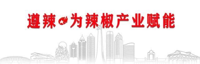 驾驶员|【点赞】公交司机拾金不昧暖人心