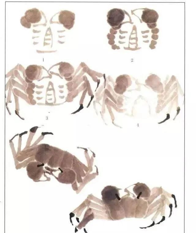  画法|怎么画鱼虾蟹蛙、写意《趣》画法