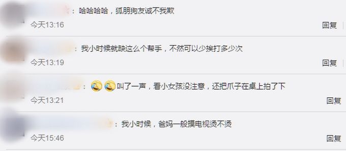 爸妈|狗子听到家长进门提醒女孩写作业，网友：我爸妈一般摸电视烫不烫