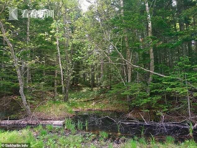  丈夫|8岁女童搭便车遭夫妇奸杀埋尸，最后视频曝光，妻子：怕丈夫 不敢管