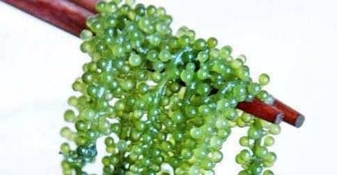 女性|女性不想老太快，常吃此物，皱纹没了，色斑淡了，皮肤细腻有弹性