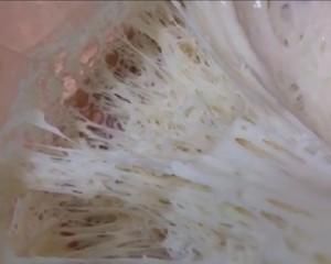  面包|超软乎的波兰种芝士面包