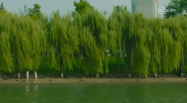  绵长|电影里的东方日常，克制而绵长