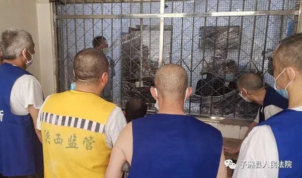  认定被告人|曹磊等13人组织参与黑社会性质组织犯罪案一审宣判