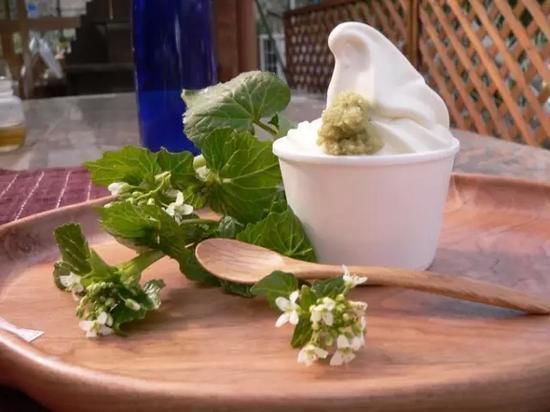 ソフト|15种另类怪异冰淇淋只在日本当地才能吃到