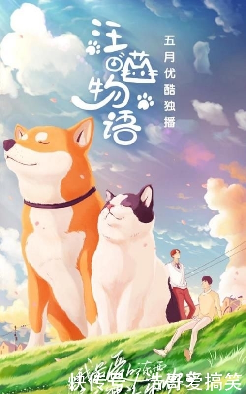 综艺|《汪喵物语》开播即火!悦己经济的时代就要来了