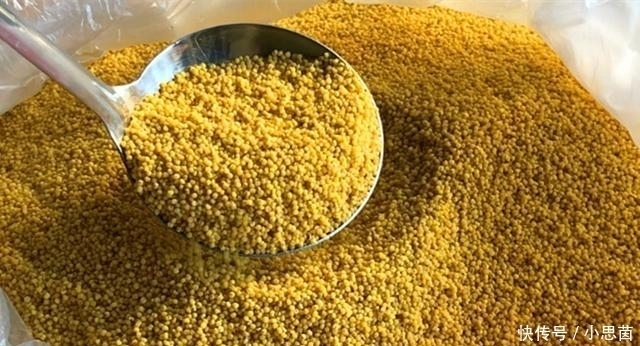  淘洗干净|熬小米粥时，“最忌”直接下锅，多加1步，米油浓厚，香糯好喝