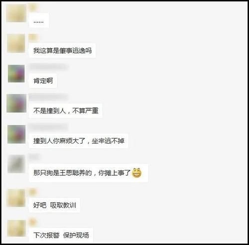  开走|慌煞！大江东网友在一村道上撞了，直接开走了……算“肇事逃逸吗？”