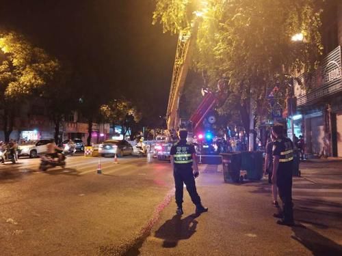  宾阳|宾阳有司机开三轮车“飞”到树上？真相是……