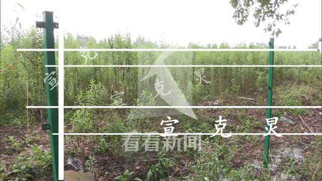 阻止|阻止偷盗集体财物 80岁退伍军人遭歹徒击打头部身亡