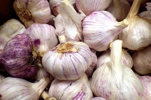  你个|大蒜的保存其实很简单，教你个土法子，再也不用担心大蒜长芽干瘪
