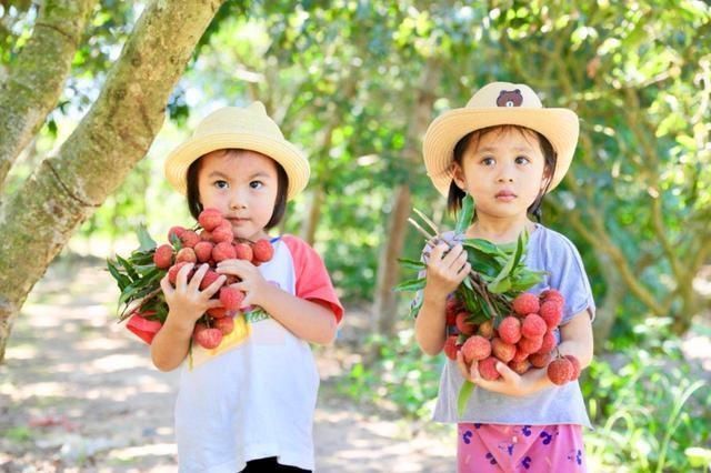 世上最贵|水果界的“布加迪”,一颗卖55万元,一般人吃不起,都是谁吃了