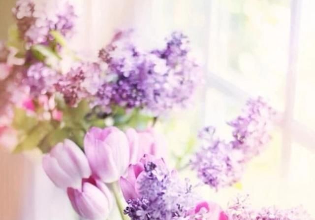 神秘莫测|喜欢“伪装”自己的星座, 不轻易袒露内心, 让人觉得神秘莫测