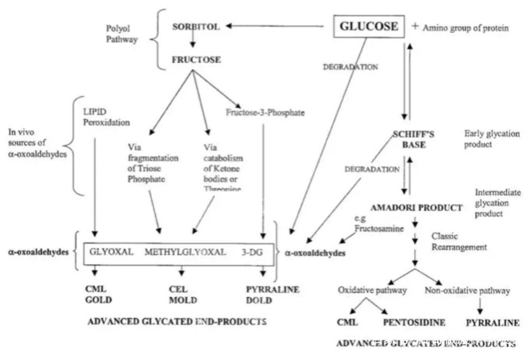  方法|交了这些智商税，我找到了真正有效的抗老方法！