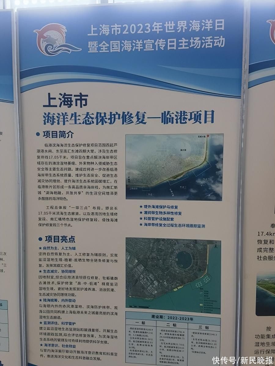 临港滨海海洋生态保护修复项目9月完工 分批投放底栖生物将达40吨