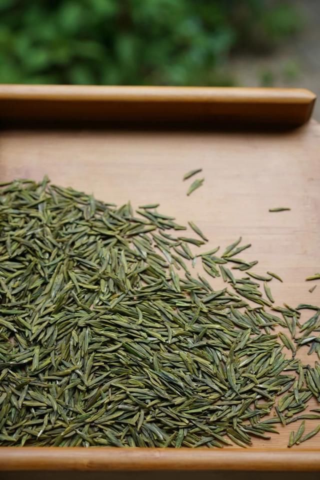  读城|〔读城〕成都地标产品之十：蒲江雀舌，追寻老川茶之根