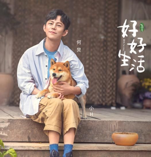  植入广告|《向往4》的植入越来越多，连黄磊都忍不了了，一句话让节目组无言