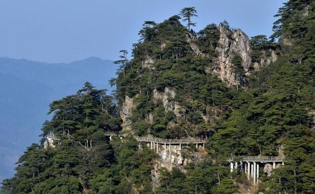  红军|小伙到景区出差，一盘鸟蛋吃出900元，老人来捞人老板才说出原因