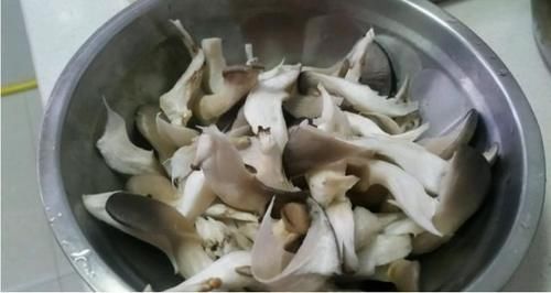 后把|1把平菇，1块豆腐，简单的家常菜，味道营养不输大鱼大肉