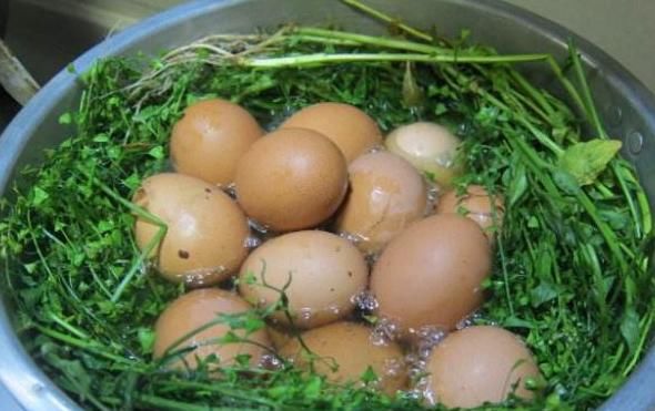 此物|女性时腰疼,用鸡蛋与此物煮一煮,腰不疼腿不酸,干啥都有劲