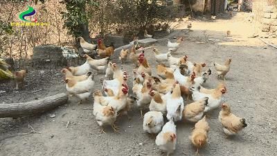 美食|美食正当季，“舌尖上的美食”声名远扬！