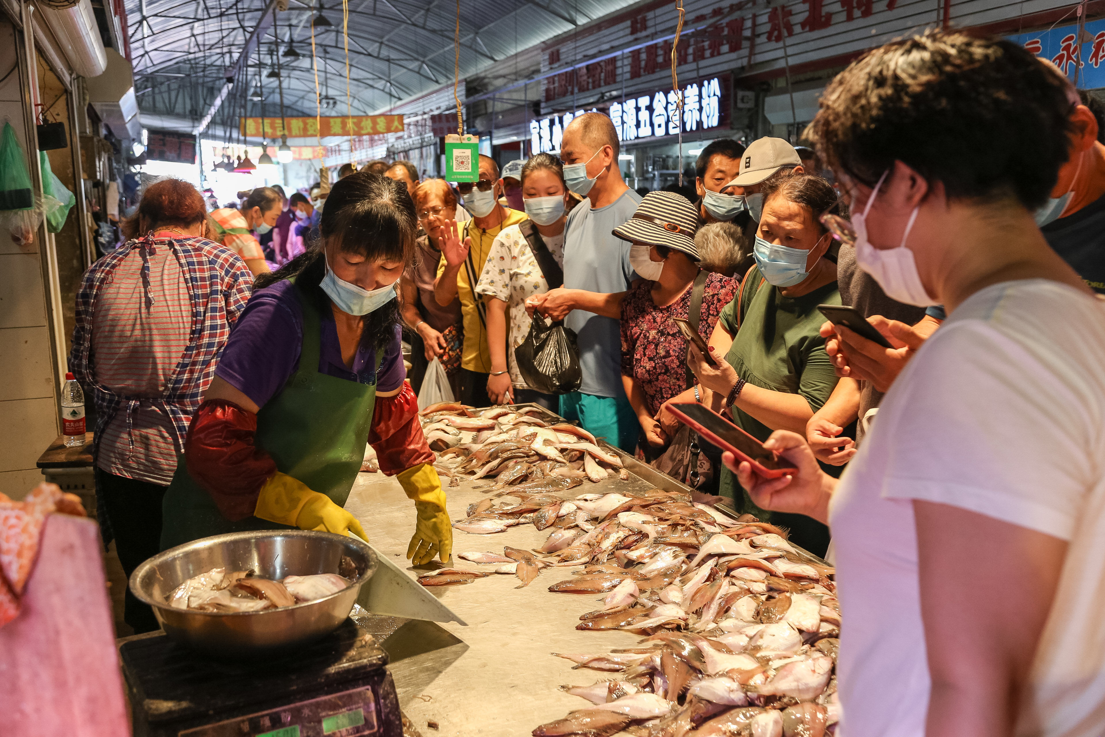 大连|大连开海后本地鲜活海产品引来“报复性消费”