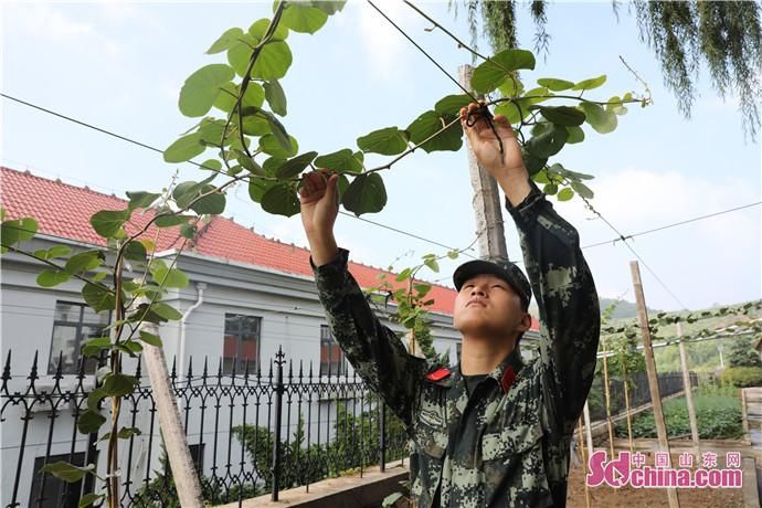  大山|记者在基层 | 一份来自大山深处的青春守望，一次洗涤心灵的“大山之旅”