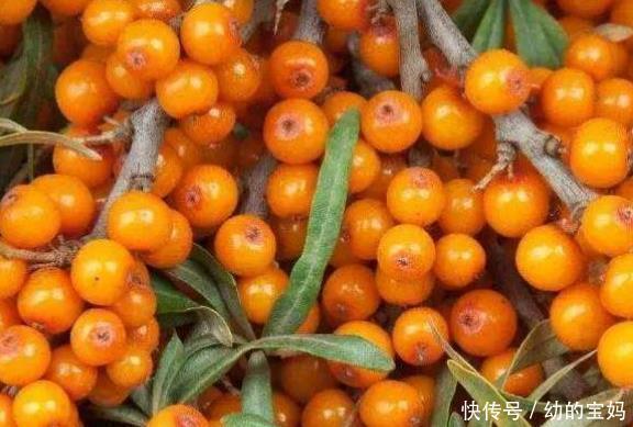 感冒|女人常吃一宝，感冒好了，排除湿气，远离妇科炎症，子宫越来越好