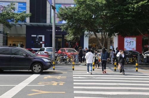 争议|交规“礼让行人”惹争议，专家给出新办法，车主：早这样多好
