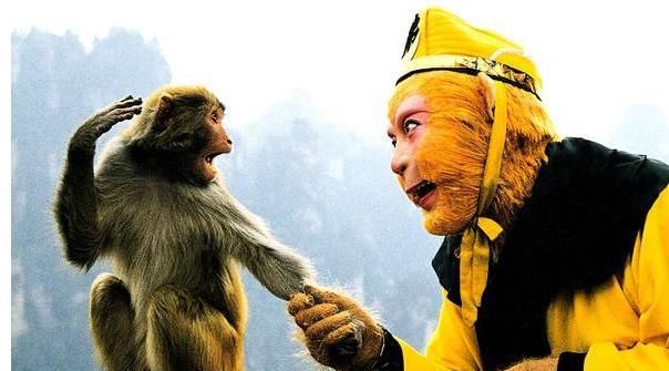  如来|如来钵下的到底是谁？怪不得唐僧再也没念过紧箍咒了