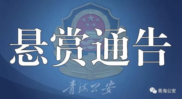 陈里剑|悬赏10万,青海警方通缉陈里剑木措