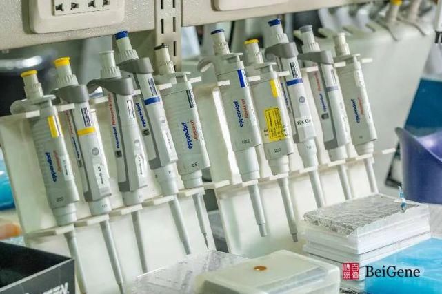  百济|十年磨一剑，百济神州布局创新全生态链