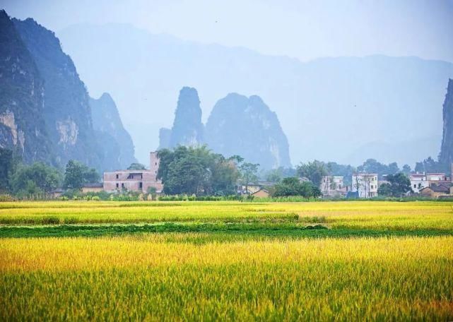 中国|中 国 人 的 “造 物 观”。