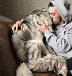 承担|如果100万让你跪下,你会承担吗?