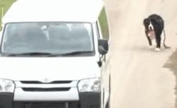  到底|日本的综艺节目到底有多变态？看完你就知道了！