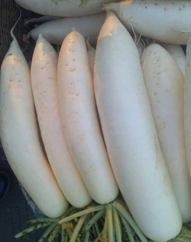 常见|16种常见蔬菜的挑选技巧,做了一辈子饭都不一定知道哦,快来收藏