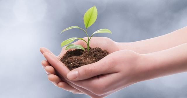  久违|奥瑞金一项指标提前复苏！为什么说包装产业＂马太效应＂久违了？