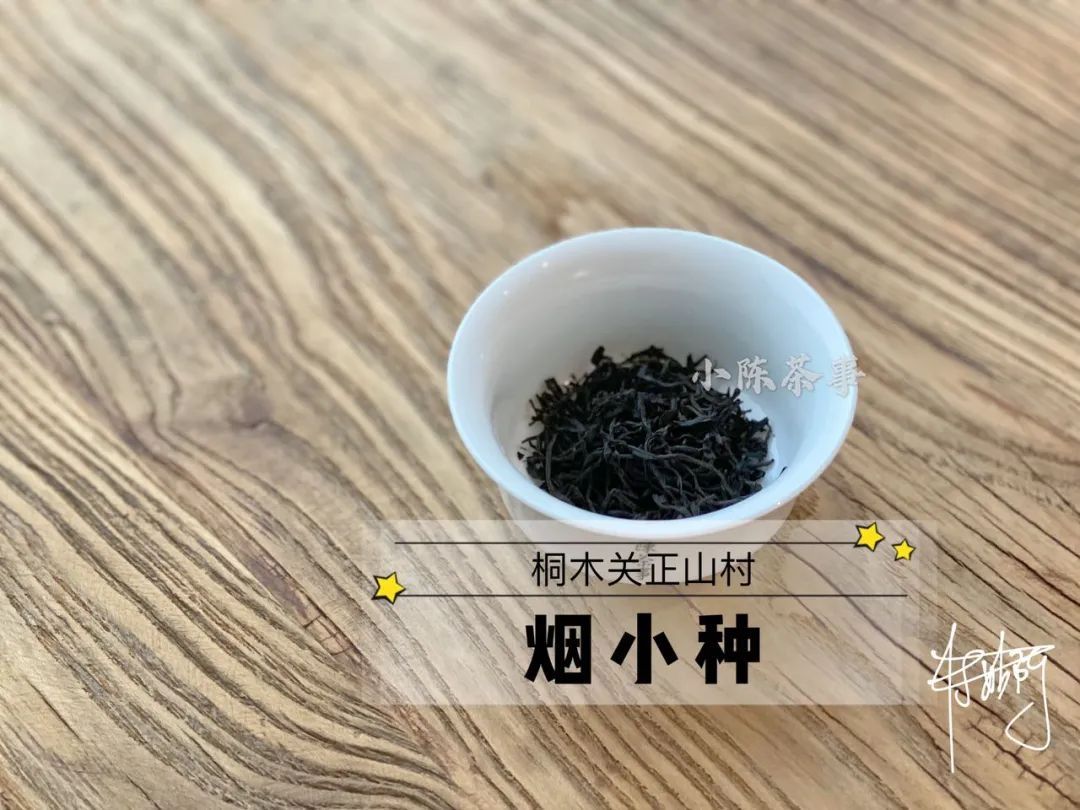 传统|从老丛红茶、烟小种到花香小种，这款红茶代表了传统小种的定义