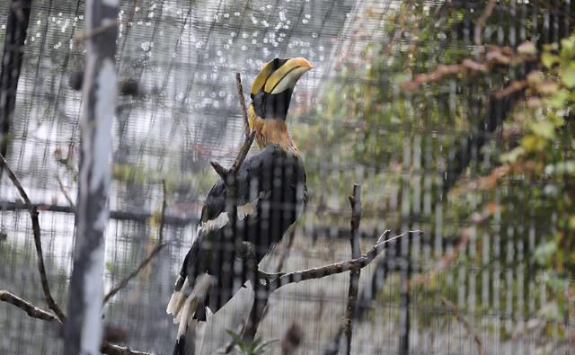 EOS|摄影摄像全能的干活利器 佳能EOS R5微单相机评测