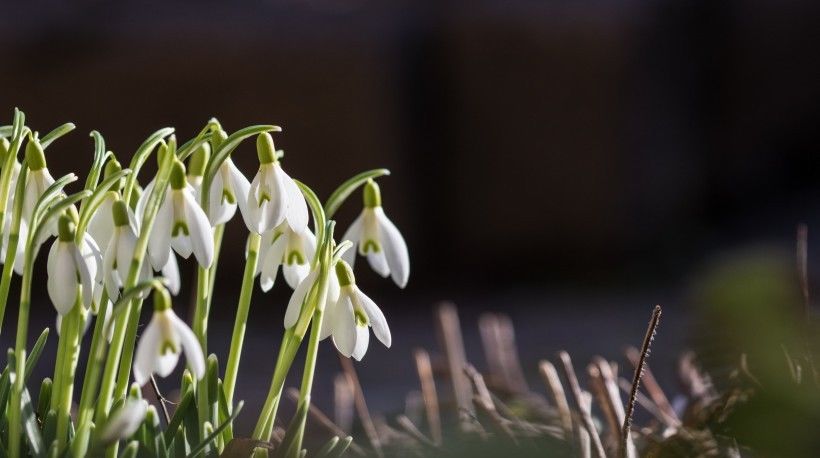  走出|7月底，痴情不移，走出爱情低谷的4星座，遇见前任，相逢如初见
