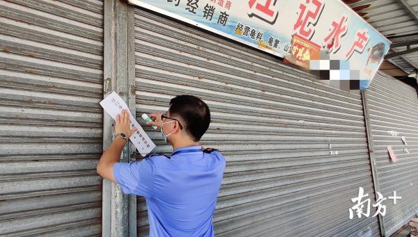 水生动物|追踪丨蓬江严查售卖野生动物违法行为，暂扣16只疑似“石金钱”
