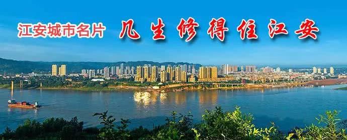 任性|你“任性”停车，交警“猛拍”贴单