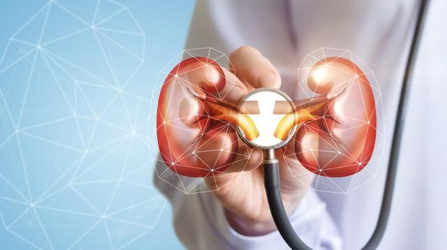  越来越|肾脏最怕什么？做到这3点，肾脏会越来越好