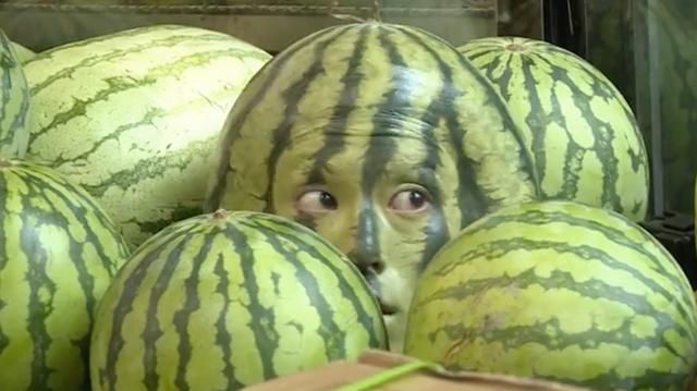  指数|《元气满满的哥哥》收视六网第一独占鳌头，传播指数第一火爆出圈