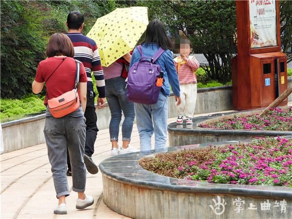 文明|【不文明行为随手拍】请勿在花台上行走